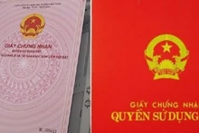 Ảnh minh họa.