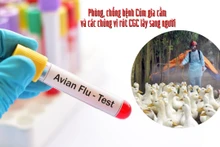 (Ảnh: CDC Phú Thọ)