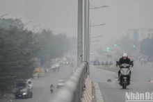 (Ảnh: THÀNH ĐẠT)