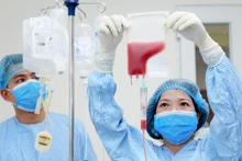 Các y, bác sĩ truyền tế bào gốc cho người bệnh.