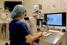 Sinh thiết phôi - một trong những bước quan trọng trong quá trình thực hiện kỹ thuật PGT-M.
