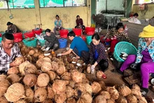 Hợp tác xã nông nghiệp Thới Thạnh (huyện Thạnh Phú) đang xây dựng mô hình kiểu mới.