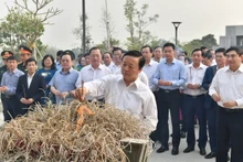 Phó Thủ tướng Trần Hồng Hà và các đại biểu dâng hương tưởng niệm các Anh hùng liệt sĩ tại Đền thờ các Anh hùng liệt sĩ hy sinh tại chiến trường Điện Biên Phủ. 