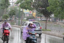 Ảnh minh họa.