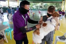 Phillipinnes ghi nhận 426 ca tử vong do bệnh dại. Ảnh: Bernama-Xinhua