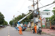 Điện lực Quảng Ngãi huy động mọi nguồn lực khẩn trương khắc phục hệ thống lưới điện sau bão số 4.