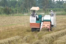 Máy đang thu gom rơm rạ trên đồng.