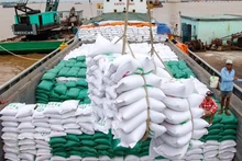 Một số quốc gia đang cấm xuất khẩu gạo cũng đặt ra nhiều cơ hội và thách thức đối với gạo Việt.