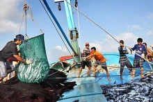 Hiệp hội Chế biến và Xuất khẩu thủy sản Việt Nam (VASEP) vừa ký văn bản gửi Bộ Nông nghiệp và Phát triển nông thôn kiến nghị một số quy định bất cập trong Nghị định 37/2024/NĐ-CP.