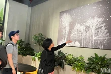 Tác phẩm nhiếp ảnh trưng bày tại triển lãm Mầm sống trong đêm.