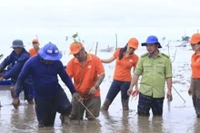 Tăng cường khả năng chống chịu với biến đổi khí hậu của cộng đồng ven biển đồng bằng sông Cửu Long 