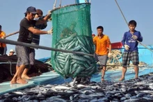 Từ ngày 10-18/10/2023, Đoàn thanh tra EC lần 4 sẽ sang Việt Nam kiểm tra kết quả triển khai các khuyến nghị của Ủy ban châu Âu (EC) về chống khai thác IUU.
