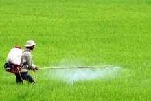 Trong bối cảnh phát triển nông nghiệp bền vững, việc sử dụng phân bón và thuốc bảo vệ thực vật an toàn, hiệu quả là một trong những vấn đề cấp thiết.