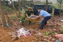 Lực lượng chức năng tiêu hủy số hàng hóa là thực phẩm bẩn.