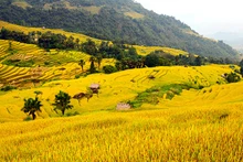 Ruộng bậc thang ở thôn Lùng Vài, xã Phương Độ, thành phố Hà Giang. (Ảnh Lê Na)