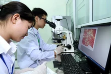Giờ thực hành của sinh viên Học viện Nông nghiệp Việt Nam. (Ảnh TUỆ NGHI)