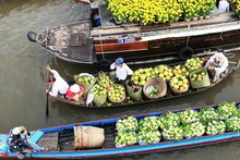 Hoạt động mua bán trái cây ở miệt vườn sông nước Nam Bộ luôn hấp dẫn du khách. (Ảnh: NGỌC MAI)