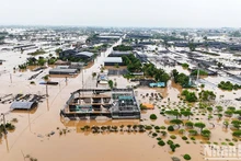 Do ảnh hưởng của cơn bão số 3, mực nước sông Hồng tại 3 xã Xuân Quan, Phụng Công, Văn Đức (Văn Giang, Hưng Yên) dâng nhanh, gây ngập lụt trên diện rộng. (Ảnh: THÁI BÌNH)