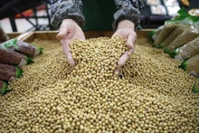 Ảnh minh họa. (Nguồn: Reuters)