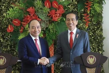 Chủ tịch nước Nguyễn Xuân Phúc và Tổng thống Indonesia Joko Widodo. (Ảnh: Thống Nhất/TTXVN)