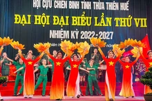 Tiết mục văn nghệ chào mừng Đại hội của hội viên Hội Cựu chiến binh trong tỉnh.