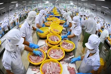 Thủy sản là một trong những mặt hàng thế mạnh của Việt Nam tại thị trường CPTPP.