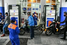 Ảnh: THÀNH ĐẠT