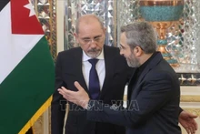Quyền Ngoại trưởng Iran Ali Bagheri (phải) trong cuộc gặp Ngoại trưởng Jordan Ayman Safadi đang ở thăm Tehran, ngày 4/8/2024. Ảnh: Reuters/TTXVN
