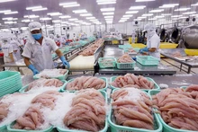 Xuất khẩu thủy sản đang gặp nhiều khó khăn.