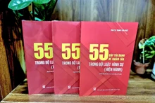 Cuốn sách “55 cặp tội danh dễ nhầm lẫn trong Bộ luật Hình sự (hiện hành)”.