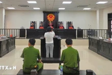 Bộ Công an đề xuất bổ sung 27 tội danh dù chuẩn bị phạm tội cũng bị truy cứu trách nhiệm hình sự. (Ảnh minh họa: TTXVN)
