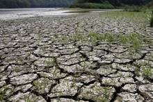 El Nino khiến các hiện tượng thời tiết cực đoan trở nên trầm trọng hơn. (Ảnh minh họa: Reuters)