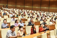 Các đại biểu Quốc hội dự phiên chất vấn và trả lời chất vấn ngày 8/11. (Ảnh: ĐĂNG KHOA)