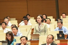 Đại biểu Quốc hội Trần Thị Hồng Thanh (đoàn Ninh Bình) phát biểu ý kiến tại hội trường chiều 28/10. (Ảnh: DUY LINH)
