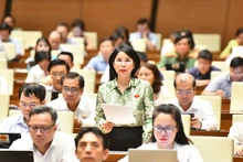 Đại biểu Trần Thị Nhị Hà (đoàn Hà Nội) phát biểu tại hội trường chiều 29/5. (Ảnh: ĐĂNG KHOA)