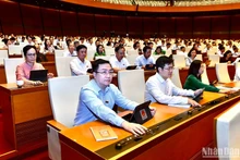 Đại biểu Quốc hội biểu quyết thông qua Luật Giá (sửa đổi). (Ảnh: ĐĂNG KHOA)