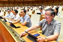Các đại biểu Quốc hội biểu quyết thông qua Luật Lưu trữ (sửa đổi). (Ảnh: THỦY NGUYÊN)