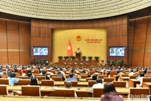 Quang cảnh phiên thảo luận ở hội trường ngày 20/11. (Ảnh: ĐĂNG KHOA)