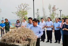 Bộ trưởng Nguyễn Chí Dũng cùng đoàn công tác đến đặt vòng hoa, dâng hương tưởng niệm và tri ân các anh hùng liệt sĩ tại Nghĩa trang Liệt sĩ quốc gia A1.