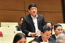 Đại biểu Quốc hội Lương Văn Hùng (đoàn Quảng Ngãi) phát biểu ý kiến. (Ảnh: THỦY NGUYÊN)