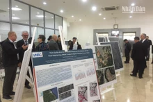 Các đại biểu tham quan triển lãm. 