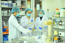Phê duyệt Chiến lược quốc gia về thu hút, trọng dụng nhân tài