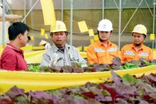 Công nhân ngành điện miền nam tuyên truyền sử dụng điện an toàn, tiết kiệm phục vụ phát triển nông nghiệp. (Ảnh: EVNSPC)