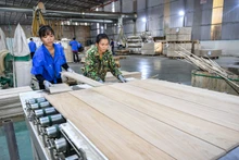 Bên cạnh thúc đẩy đáng kể xuất khẩu của Việt Nam sang châu Âu, EVFTA cũng giúp củng cố sức hấp dẫn của Việt Nam đối với các nhà đầu tư châu lục này. (Ảnh minh họa: THÀNH ĐẠT)