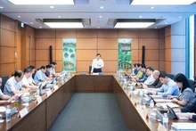 Quang cảnh thảo luận tại Tổ 8, sáng 26/10.