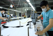 Theo ADB, hoạt động thương mại mạnh hơn dự kiến, sản xuất chế biến chế tạo hàng xuất khẩu phục hồi mạnh mẽ, và việc tiếp tục thực hiện các biện pháp hỗ trợ tài khóa đã thúc đẩy tăng trưởng kinh tế của Việt Nam. (Ảnh minh họa: TTXVN) 