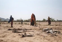 Người dân đứng cạnh xác vật nuôi bị chết do hạn hán tại Gode (Ethiopia), ngày 7/4/2022. (Ảnh: AFP/TTXVN)