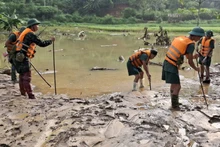 Lực lượng quân đội, công an, tình nguyện viên tiếp tục tìm kiếm tại hiện trường Làng Nủ ngày 15/9. (Ảnh: TÂM THỜI)