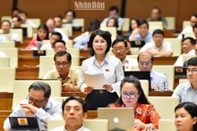 Khắc phục vướng mắc trong đấu thầu thuốc, trang thiết bị y tế