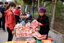 Một số điểm chợ nhỏ bắt đầu bán hàng. (Ảnh: TTXVN)